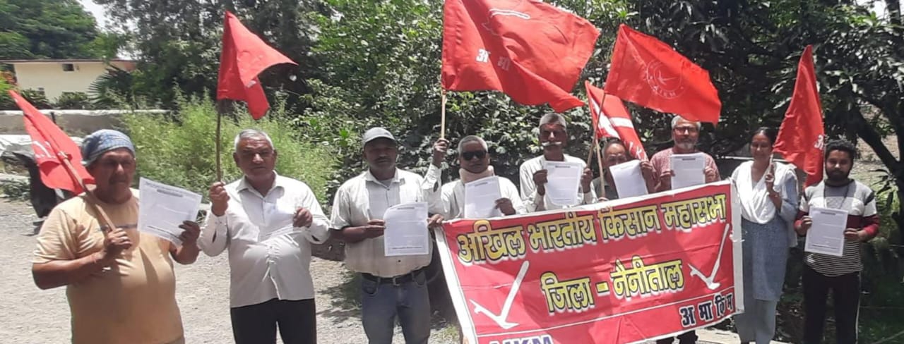 फाइल अटकी, जनता भटकी: बिंदुखत्ता के राजस्व गांव और गोवंश संकट पर गरमाई राजनीति