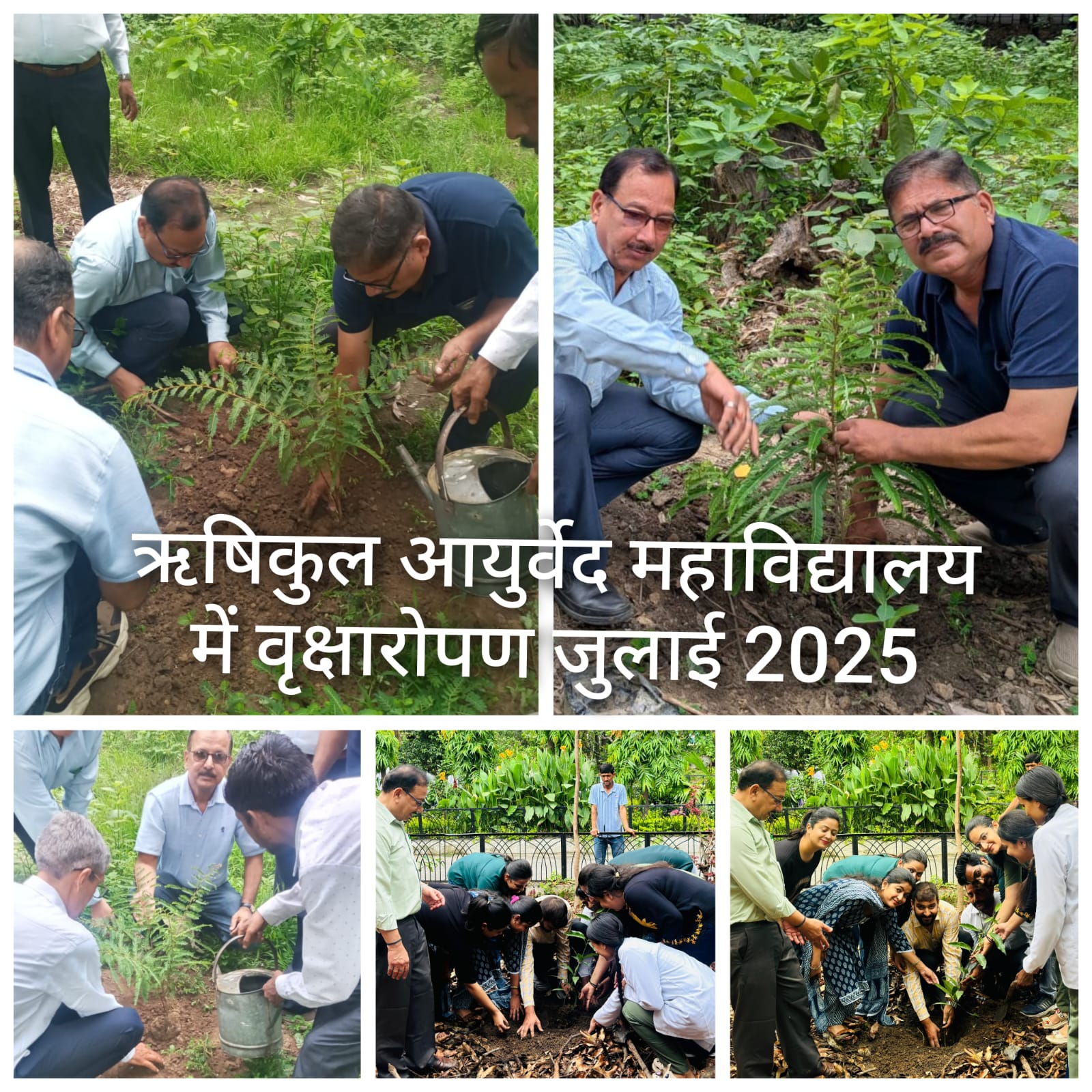 ऋषिकुल आयुर्वेद महाविद्यालय में डॉ. आशुतोष पन्त के नेतृत्व में 100 पौधों का वृक्षारोपण